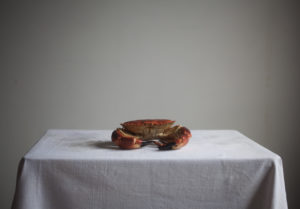 Spring Homepage Crab