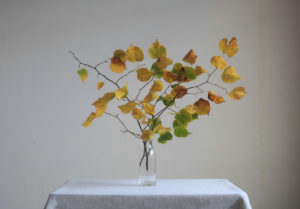 Spring Homepage Autumn Leaves