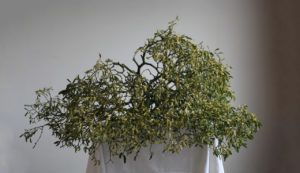 Spring Restaurant December Mistletoe Christmas dining